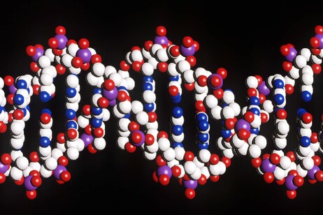 GENOMA: GENI E DNA [ARCHIVE MATERIAL 20000626 ]